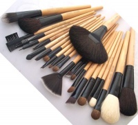 BOSTON WORLD Black 24 PCS Professional Makeup Brush Set Include Free Pouch BOSTON WORLD Black 24 PCS Professional Makeup Brush Set Include Free Pouch