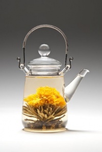 Tea Beyond Heat Resistant Glass Teapot Duo 16-Ounce Tea Beyond Heat Resistant Glass Teapot Duo 16-Ounce
