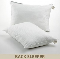 Calvin Klein Two Almost Down 260T Standard Pillows Calvin Klein Two Almost Down 260T Standard Pillows