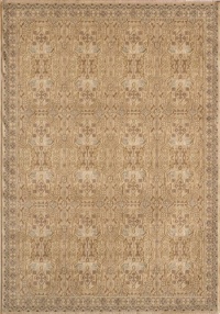 Area Rug 5x7 Rectangle Traditional Ivory Color - Momeni Belmont Rug from RugPal