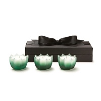 This set of three elegantly scalloped D.L. & Co. candles contain a lush fragrance blend of hemlock, black pine, cedar, Italian cypress and oak moss. Comes in an exquisite black ribboned box for the perfect gift.