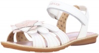 Geox Milk lll Sandal (Toddler/Little Kid/Big Kid),Off White,26 EU (9 M US Toddler) Geox Milk lll Sandal (Toddler/Little Kid/Big Kid),Off White,26 EU (9 M US Toddler)