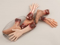 Body Parts (6 count) Body Parts (6 count)