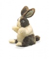 Baby Dutch Rabbit Puppet