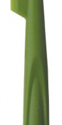 iSi Basics Silicone Slim Spatula, Wasabi iSi Basics Silicone Slim Spatula, Wasabi