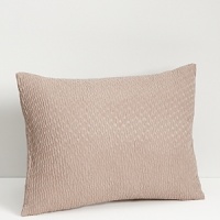 A collection of pillows in a variety of sizes and designs to complement our bedding collection. Down and feather forms.