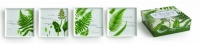 Rosanna L'Orangerie Appetizer Plates, Set of 4 Rosanna L'Orangerie Appetizer Plates, Set of 4