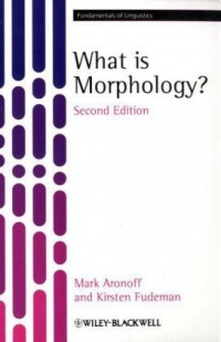 What is Morphology What is Morphology
