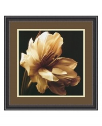 Discover the intricate folds and delicate beauty of a perfect bloom in Timeless Grace I by Charles Britt. Floating on a dark ground, this floral portrait is a fresh perspective on the natural world. Display with the rest of the Timeless Grace series for dramatic effect. In black frame with beaded edge. Discover the intricate folds and delicate beauty of a perfect bloom in Timeless Grace I by Charles Britt. Floating on a dark ground, this floral portrait is a fresh perspective on the natural world. Display with the rest of the Timeless Grace series for dramatic effect. In black frame with beaded edge.