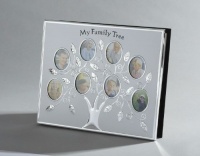 My Family Tree Album My Family Tree Album