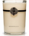 Archipelago Botanicals Archipelago Botanicals Signature Candle - Pineapple Ginger