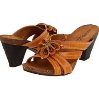 NATURAL SOUL BY NATURALIZER Women's Eily (Curry Spic 6.0 M) NATURAL SOUL BY NATURALIZER Women's Eily (Curry Spic 6.0 M)