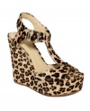 The Darma wedge sandals are tall and chunky, just the way you like them. Who knew t-straps roamed the jungle?