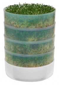 Victorio VKP1014 4-Tray Kitchen Seed Sprouter Victorio VKP1014 4-Tray Kitchen Seed Sprouter