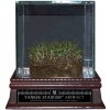 Steiner Sports MLB New York Yankees Authentic Yankee Stadium Freeze Dried Grass Sod w/ Glass Display Case