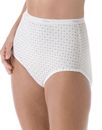 Hanes Plus Size Women's Cotton Briefs Assorted Hanes Plus Size Women's Cotton Briefs Assorted