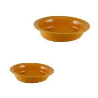 Appolia Gaia 2-Piece Oval Baker Set/Large, Orange Fusion