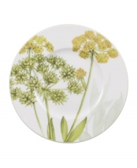 A natural for casual dining, the Althea Nova bread and butter plate by Villeroy & Boch features durable porcelain planted with delicate herbs for a look that's fresh from the garden. With green trim. A natural for casual dining, the Althea Nova bread and butter plate by Villeroy & Boch features durable porcelain planted with delicate herbs for a look that's fresh from the garden. With green trim.