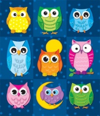 Colorful Owls (stickers)