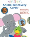 Baby Einstein: Animal Discovery Cards : Beautiful Nature Photographs and Animal Facts to Delight Your Baby