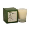 Illume Balsam & Cedar Boxed Glass Candle-9.5 oz.