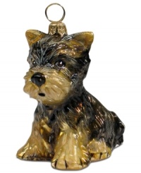 Puppy love at first sight. Just begging for a home, this Yorkshire terrier ornament is irresistible to animal lovers in hand-painted glass by Joy to the World. Puppy love at first sight. Just begging for a home, this Yorkshire terrier ornament is irresistible to animal lovers in hand-painted glass by Joy to the World.