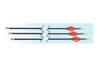 Allen Company 26-Inch Fiberglass Youth Arrows (3 Pack) Allen Company 26-Inch Fiberglass Youth Arrows (3 Pack)