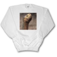 Ecuador, Galapagos Islands, Giant tortoise - SA07 MDE0199 - Michael DeFreitas - Youth SweatShirt XS(2-4) Ecuador, Galapagos Islands, Giant tortoise - SA07 MDE0199 - Michael DeFreitas - Youth SweatShirt XS(2-4)