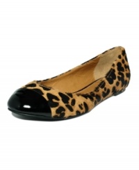 Animal instinct: Kelsi Dagger's Jordi pony hair cap-toe flats feature a choice of leopard or zebra prints. We suggest pairing them with an all-black ensemble to make the patterns really pop! Animal instinct: Kelsi Dagger's Jordi pony hair cap-toe flats feature a choice of leopard or zebra prints. We suggest pairing them with an all-black ensemble to make the patterns really pop!
