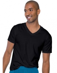 Hanes Classics Dyed V-Neck T shirt Hanes Classics Dyed V-Neck T shirt