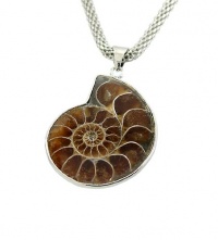 Natural Ammonite Fossil Seashell Silver Tone Pendants 18 Mesh Necklace Natural Ammonite Fossil Seashell Silver Tone Pendants 18 Mesh Necklace