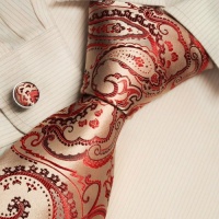 Red pattern designer for men goldenrod Paisleys Italian style silk neck ties cufflinks set A2028 One Size Goldenrod Red pattern designer for men goldenrod Paisleys Italian style silk neck ties cufflinks set A2028 One Size Goldenrod