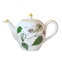 Adapted from botanical drawings of gardens in Mumbai, India, where an abundance of rare plant species grow, precisely detailed floral and vegetal illustrations adorn this fine porcelain teapot from Bernardaud. It's edged with a rattan trompe l'oeil pattern reminiscent of popular Indian furniture designs. Adapted from botanical drawings of gardens in Mumbai, India, where an abundance of rare plant species grow, precisely detailed floral and vegetal illustrations adorn this fine porcelain teapot from Bernardaud. It's edged with a rattan trompe l'oeil pattern reminiscent of popular Indian furniture designs.