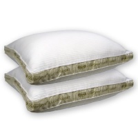 Beautyrest Extra Firm Queen Size Twin Pack Bed Pillow Beautyrest Extra Firm Queen Size Twin Pack Bed Pillow