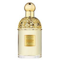 Guerlain Aqua Allegoria Mandarine-Basilic 2.5 oz Eau de Toilette Spray Guerlain Aqua Allegoria Mandarine-Basilic 2.5 oz Eau de Toilette Spray