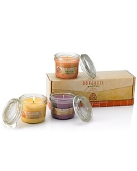 Imagine the rich, pure Tuscan scents of Arezzo, Pisa and Siena filling the air with their luscious aromas…then imagine Borghese Gardens Candle Collection. This tranquil trio of rejuvenating scents is designed to create a spa-like atmosphere right at home. Arezzo is alive with notes of Pear, Peach, Plum Jasmine, Rose, Vanilla and Raspberry. Pisa offers a delicious blend of Tuscan Blood Orange, Neroli Blossoms, Honeysuckle Dew and Velvet Musk and Siena awakens any room with the fresh fragrance of tart and citrusy Lemon Verbena, Grapefruit and Orange touched with notes of Jasmine, Mint and Balsamic.Infused with essential oils, Borghese Gardens' soy, vegetable and beeswax candles gather the bounty of the earth and bring it home to relax the senses and rejuvenate the soul. Each of the three candles in the collection is presented in its own glass mason jar and is packaged together in a signature Borghese gift box. Size: 18 oz. (6 oz. ea.)