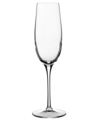 Smart style and sound construction make Crescendo champagne flutes sing. A simply sleek silhouette for anytime enjoyment is crafted in Luigi Bormioli's SON.hyx, a revolutionary glass that's guaranteed to resist chipping and discoloration for 25 years. This set of toasting flutes combines technology and elegance in the highest quality stemware available. Smart style and sound construction make Crescendo champagne flutes sing. A simply sleek silhouette for anytime enjoyment is crafted in Luigi Bormioli's SON.hyx, a revolutionary glass that's guaranteed to resist chipping and discoloration for 25 years. This set of toasting flutes combines technology and elegance in the highest quality stemware available.