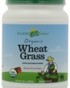 Amazing Grass Organic Wheat Grass 100 Serving, 28-Ounce Container