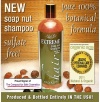 NaturOli Soap Nuts Natural Shampoo - Organic Hair Care - Sulfate Free! - Gluten Free! - Ayurvedic Ingredients - Normal to Oily Hair - EXTREME Hair - Unscented - 16oz. Made with USDA CERTIFIED ORGANIC Soap Nuts / Soap Berries!