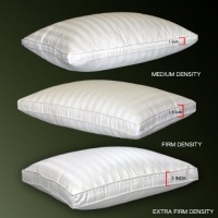 Blue Ridge Home 122515 Feather-Down Compartment Pillow with Extra Firm Density, 350 Thread Count, King, Striped, White Blue Ridge Home 122515 Feather-Down Compartment Pillow with Extra Firm Density, 350 Thread Count, King, Striped, White