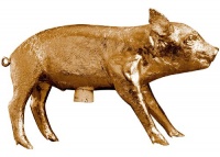 Areaware Bank in The Form of a Pig, Gold Chrome Areaware Bank in The Form of a Pig, Gold Chrome