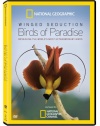 Winged Seduction: Birds of Paradise