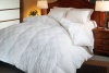 Blue Ridge Home Fashions, Hotel Grand Euro Check 500-Thread Count Hungarian White Goose Down Comforter, Full/Queen