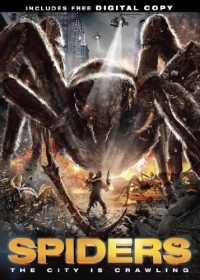 Spiders Spiders
