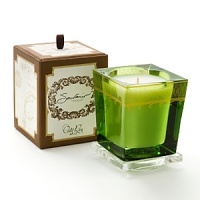 Aquiesse Souvenir is inspired by Costa Rica…it's verdant jungle, lush with wild orchids, balsa trees, fresh figs, and ginger lilies. Our finely fragranced candle is presented in a luxurious green glass vessel reminiscent of terrain's exotic foliage. Aquiesse Souvenir is inspired by Costa Rica…it's verdant jungle, lush with wild orchids, balsa trees, fresh figs, and ginger lilies. Our finely fragranced candle is presented in a luxurious green glass vessel reminiscent of terrain's exotic foliage.