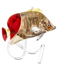 Far from the reef, this exquisite butterflyfish is captured in brilliant Swarovski crystal. Gold, copper and red tones shimmer much like they would under water while a silvertone branch with embossed coral captures the gentle movements of the sea. Far from the reef, this exquisite butterflyfish is captured in brilliant Swarovski crystal. Gold, copper and red tones shimmer much like they would under water while a silvertone branch with embossed coral captures the gentle movements of the sea.