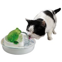 Cats Rule Frog Watering Hole Water Fountain, White and Green Cats Rule Frog Watering Hole Water Fountain, White and Green