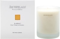 Archipelago Botanicals Excursion Boxed Soy Candle - Lanai Archipelago Botanicals Excursion Boxed Soy Candle - Lanai