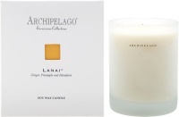 Archipelago Botanicals Excursion Boxed Soy Candle - Lanai