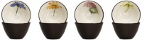 Noritake Colorwave Floral Bowl, 4-Inch, Chocolate, Set of 4 Noritake Colorwave Floral Bowl, 4-Inch, Chocolate, Set of 4